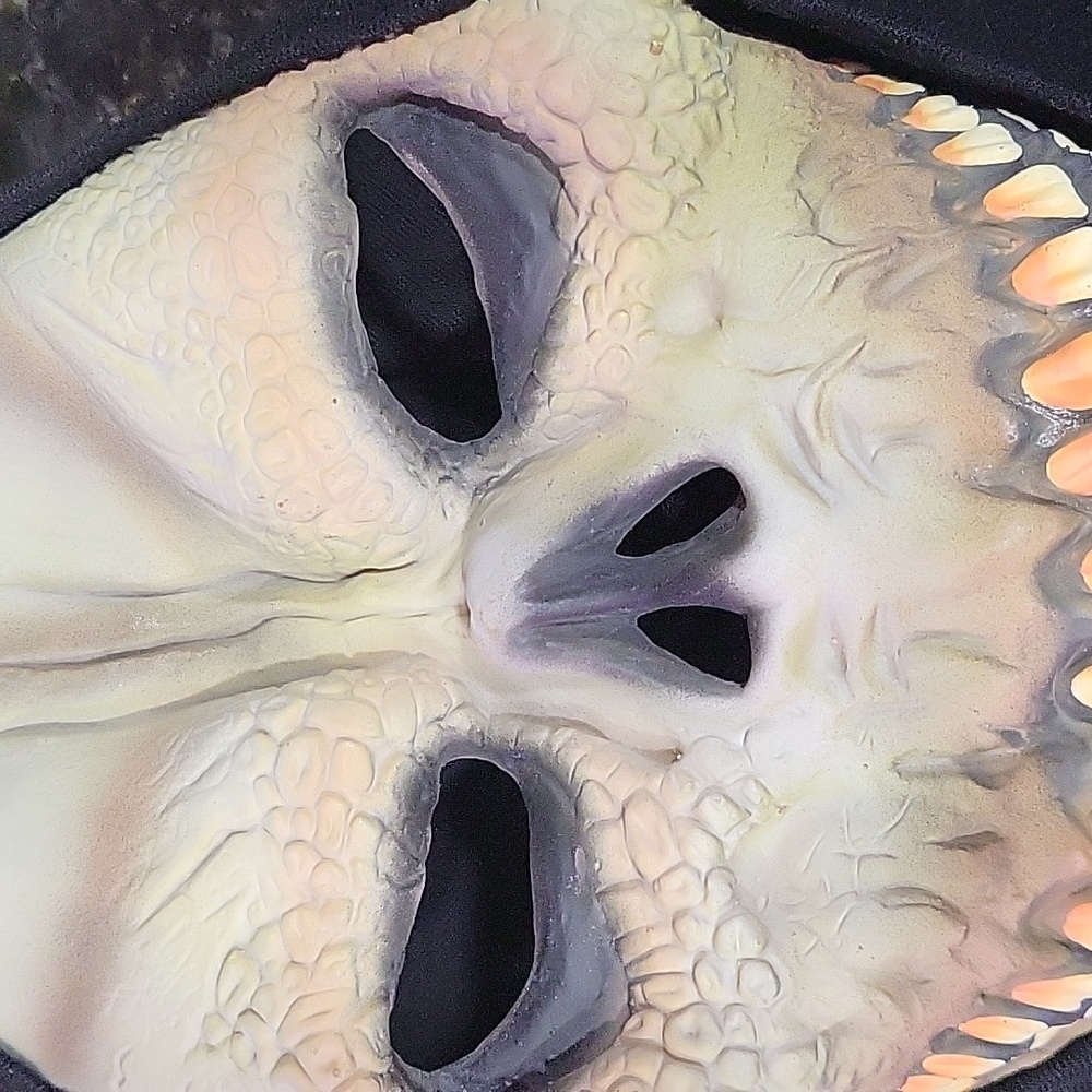 Skull Skeleton Halloween Scary Creepy Ghost Face Costume Horror Mask Black Cover - Picture 3 of 6